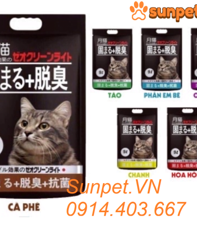 cat-nhat-ve-sinh-cho-meo