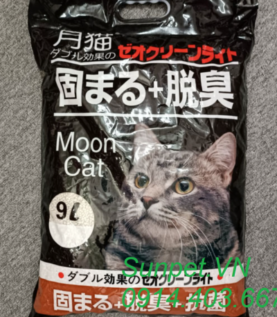 cat-nhat-ve-sinh-cho-meo