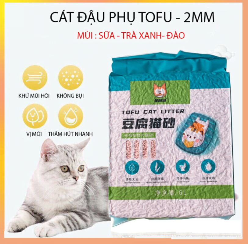 Hướng dẫn chọn cát mèo phù hợp cát mèo tofu