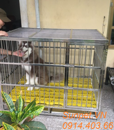 chuồng chó inox T40
