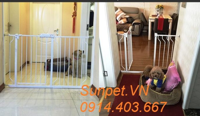 Cửa chắn chó mèo Umoo 516 cửa chắn chó mèo Umoo không cần khoan đục