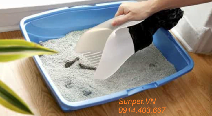 Nên mua khay vệ sinh cho chó loại nào? nên mua khay vệ sinh cho chó loại nào