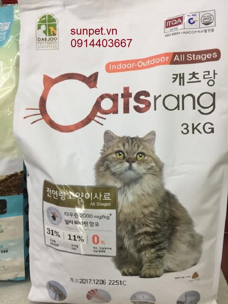 review-cat-ve-sinh-cho-meo