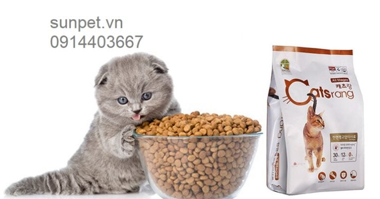 Mèo ăn gì? Kinh nghiệm chọn thức ăn cho mèo meo-an-gi