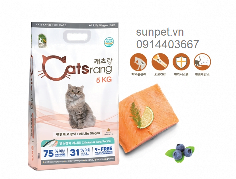 thuc-an-cho-meo-moi-lua-tuoi-catsrang