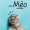 Thuốc cho mèo, dụng cụ y tế chó mèo