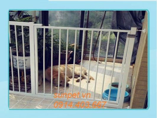Cửa chặn chó mèo SG416 Cửa chặn chó mèo SG416