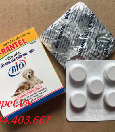 Thuốc Tẩy Giun Sán Cho Chó Mèo hiệu quả