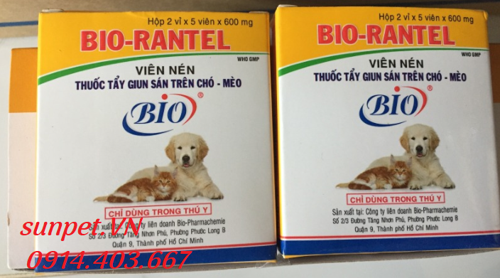 Thuốc tẩy giun cho chó mèo Bio Rantel Thuốc Tẩy Giun Sán Cho Chó Mèo Hà Nội