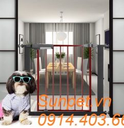 cửa chắn chó mèo