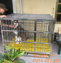 chuồng chó inox T40