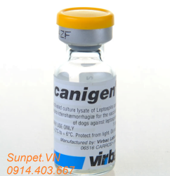 vaccin phòng 6 bệnh cho chó